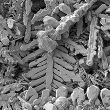 渦輪分子泵應(yīng)用于掃描電鏡 SEM